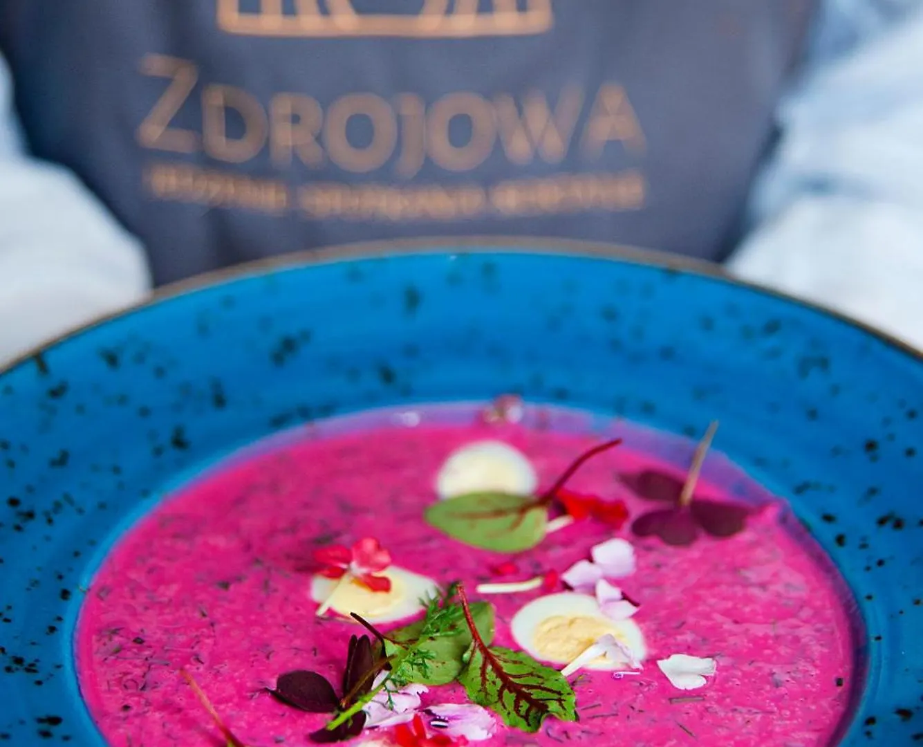 格但斯克 Dom Zdrojowy酒店 4*,  波兰